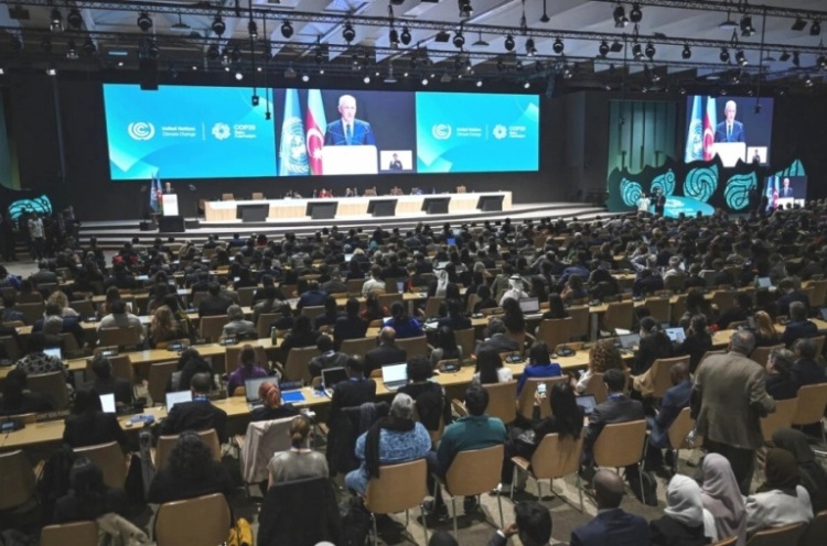 COP29: Global Leaders Reach Pivotal Deal on Carbon Credit Standards